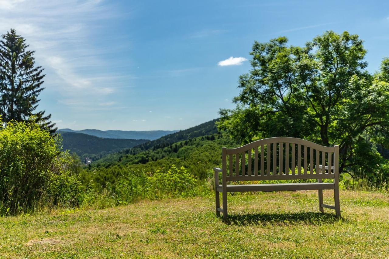 Apartmany Nad Slikovkou Jachymov Luaran gambar